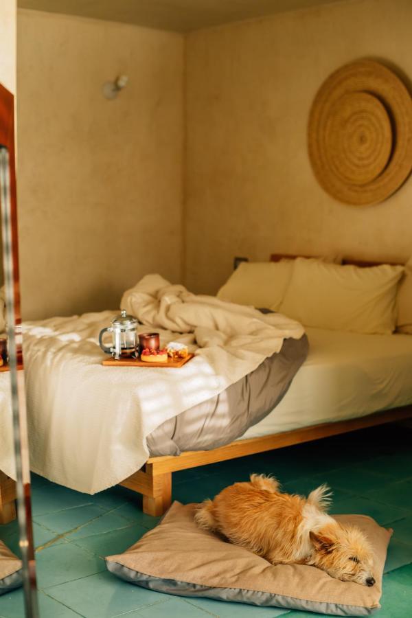 Oaxaca Boulenc Bed And Bread酒店 外观 照片